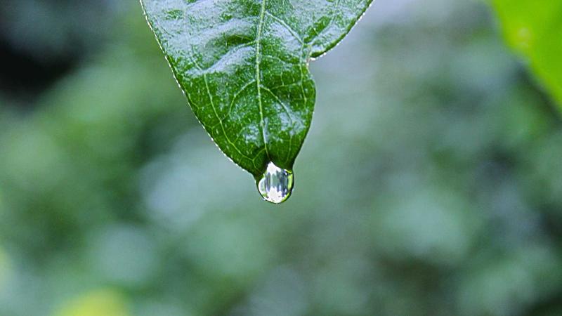 明星黑料深度追踪成功案例